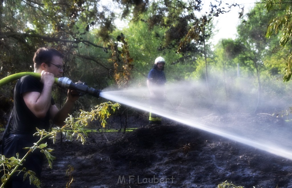 Waldbrand Koeln Hoehenhaus Hoehenfelder Mauspfad P151.JPG - Miklos Laubert